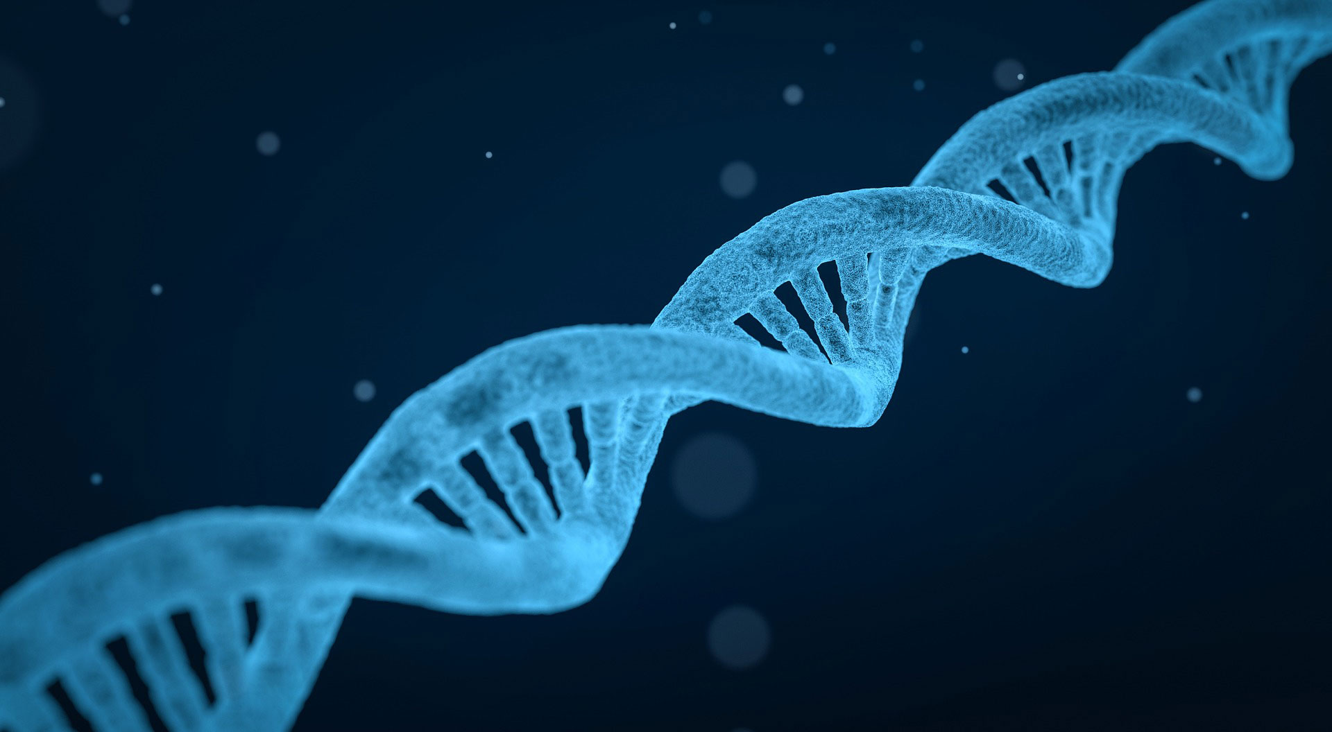 cancerdeprostata6 Cáncer de próstata