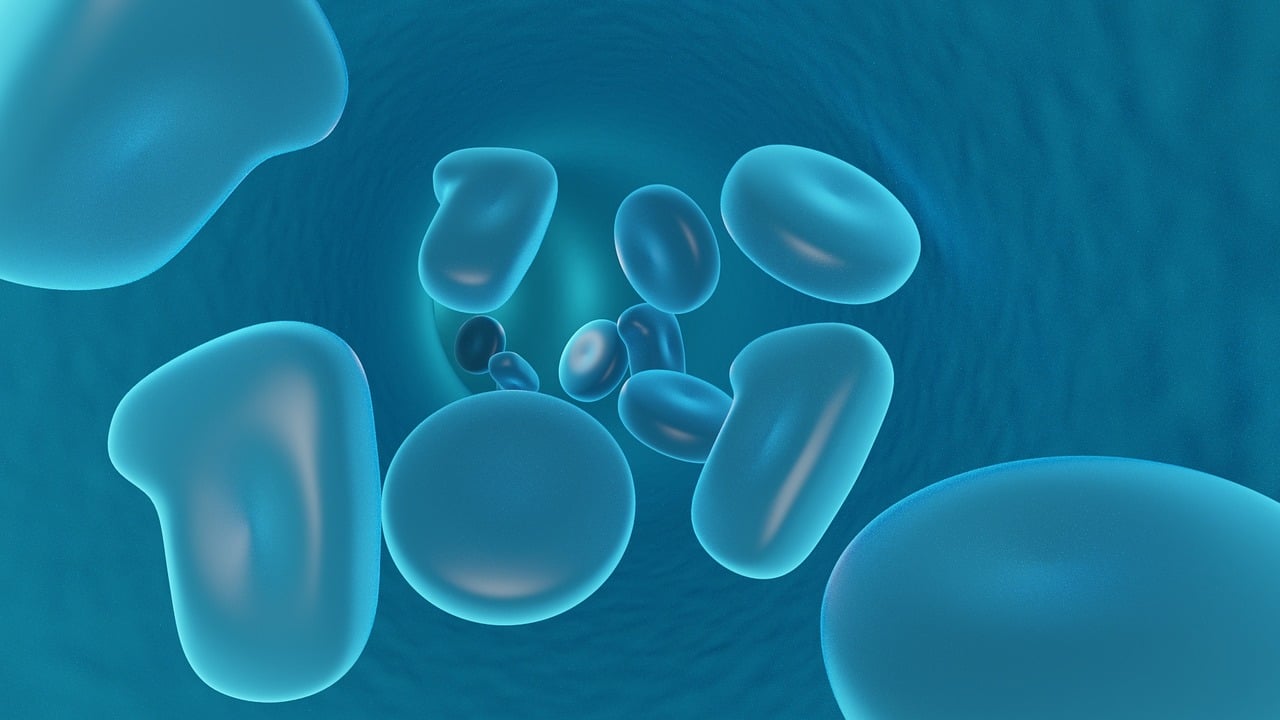 celulas2